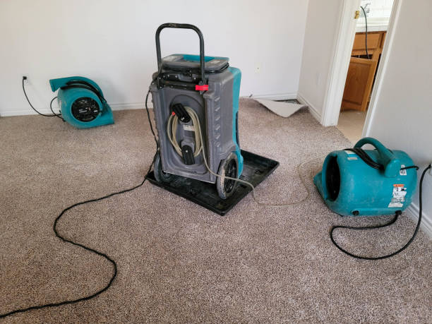 Best Flood restoration services  in Poughkeepsie, NY