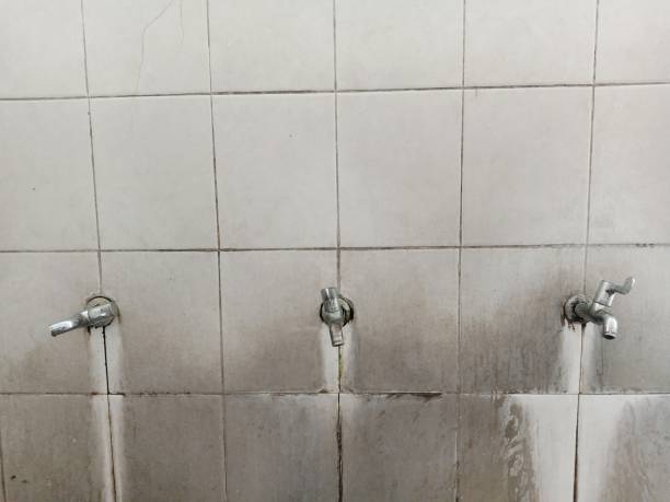 Best Emergency water extraction  in Poughkeepsie, NY