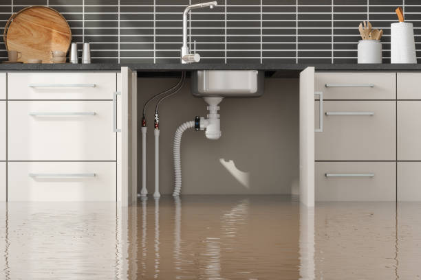Best Flooded house restoration  in Poughkeepsie, NY
